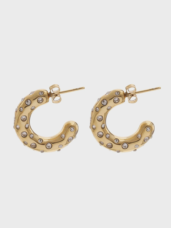 Glitter Oorbellen - Rose en Camellia