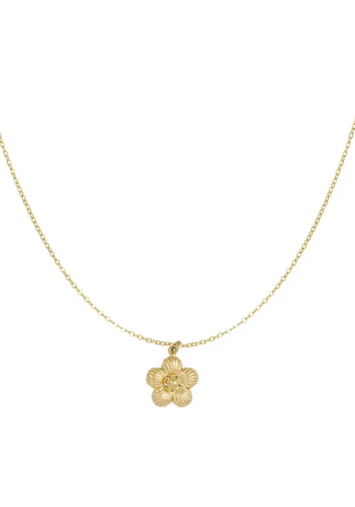 Bella necklace gold - By Liev
